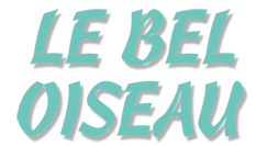 Logo Le Bel Oiseau